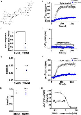 Tubeimoside I Antagonizes Yoda1-Evoked Piezo1 Channel Activation